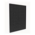 Tesla Smart Air Purifier Pro L Carbon Filter