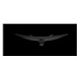 ASUS LCD 34" XG349C 3440x1440 CURVED ROG Strix Gaming 400cd UWQHD overclo.180Hz 1ms HDMI DP 135%sRGB, G-Sync IPS  repro