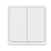 Tesla Smart Switch Dual ZigBee