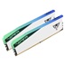 Patriot Viper Elite 5/DDR5/64GB/6200MHz/CL42/2x32GB/RGB/White