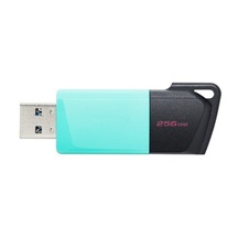Kingston Flash Disk 256GB USB3.2 Gen 1 DataTraveler Exodia M (Black + Teal)