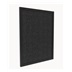 Tesla Smart Air Purifier Pro M Carbon Filter