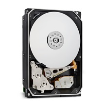 Western Digital Ultrastar® HDD 22TB (WUH722222ALE6L4) DC HC570 3.5in 26.1MM 512MB 7200RPM SATA 512E SE (GOLD)
