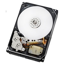 Western Digital Ultrastar® HDD 22TB (WUH722222ALE6L4) DC HC570 3.5in 26.1MM 512MB 7200RPM SATA 512E SE (GOLD)
