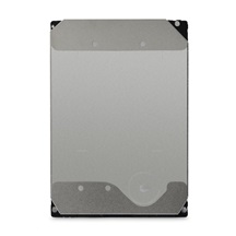 Western Digital Ultrastar® HDD 22TB (WUH722222ALE6L4) DC HC570 3.5in 26.1MM 512MB 7200RPM SATA 512E SE (GOLD)