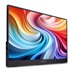 15,6" Acer PM161QB1,IPS,FHD,HDMI,USB-C,250nits