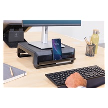 Stojan pod monitor Fellowes BREYTA černý