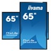 65" iiyama T6562AS-B1: IPS, 4K UHD,Android,24/7
