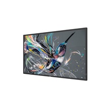 50" D-LED Philips 50BDL3511Q-UHD,VA,400cd,MP,18/7
