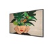 50" D-LED Philips 50BDL4511D-UHD,VA,500cd,MP,24/7
