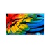 50" HTV Philips 50HFL6214U - Business TV