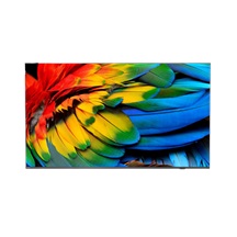 50" HTV Philips 50HFL6214U - Business TV