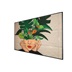 75" D-LED Philips 75BDL4511D-UHD,IPS,500cd,MP,24/7
